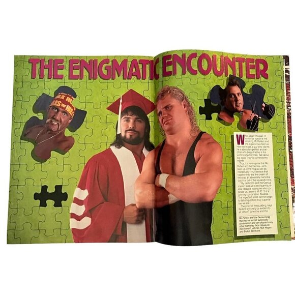 Vintage 1980s 1990s WWF Magazine Lot 10+ Von Erich Hulk Flair Poster Ads Trivia - Picture 12 of 16